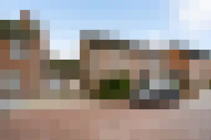Wingerd 9 Someren thumbnail 33