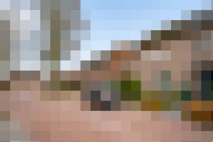 Wingerd 9 Someren thumbnail 34