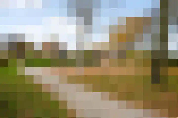 Wingerd 9 Someren thumbnail 35