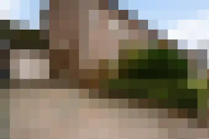 Wingerd 9 Someren thumbnail 5