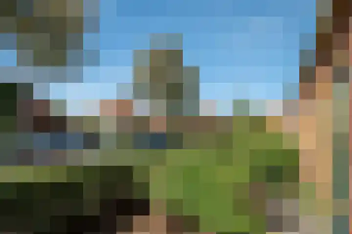 Wingerdhoek 15 Groningen thumbnail 12