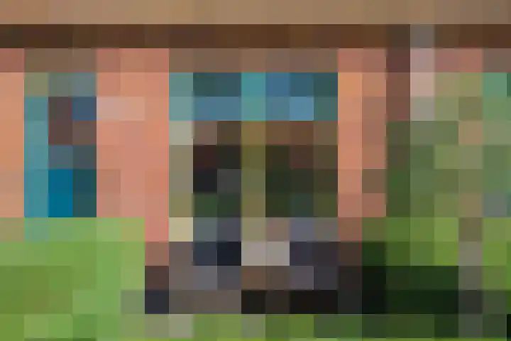 Wingerdhoek 15 Groningen thumbnail 13
