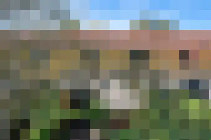 Wingerdhoek 15 Groningen thumbnail 44