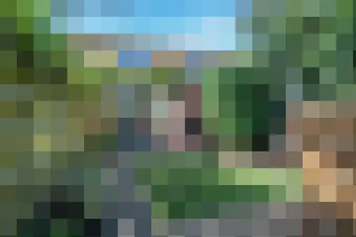 Wingerdhoek 15 Groningen thumbnail 47