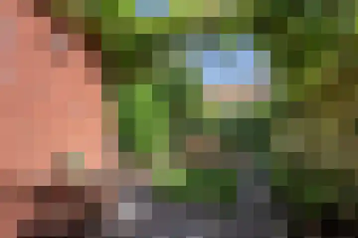 Wingerdhoek 15 Groningen thumbnail 48