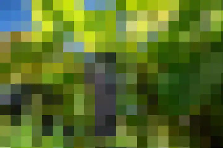 Wingerdhoek 15 Groningen thumbnail 49
