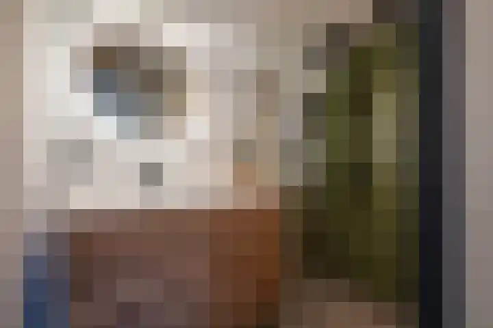 Wingerdhoek 15 Groningen thumbnail 5