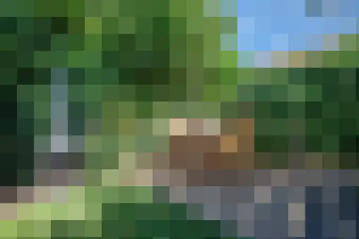 Wingerdhoek 15 Groningen thumbnail 50