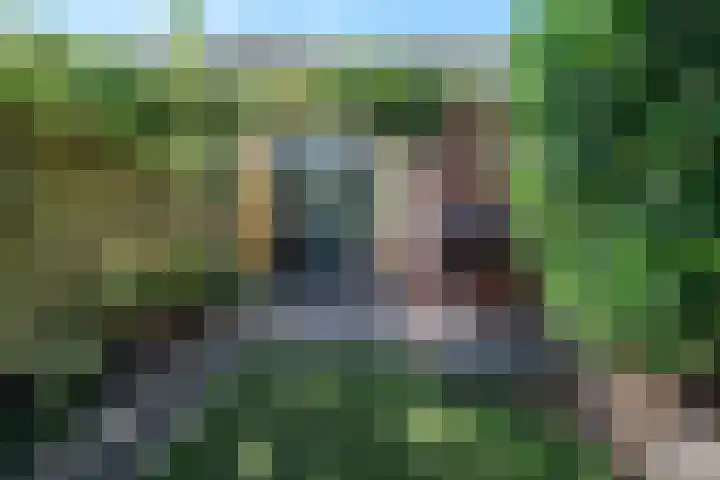 Wingerdhoek 15 Groningen thumbnail 51