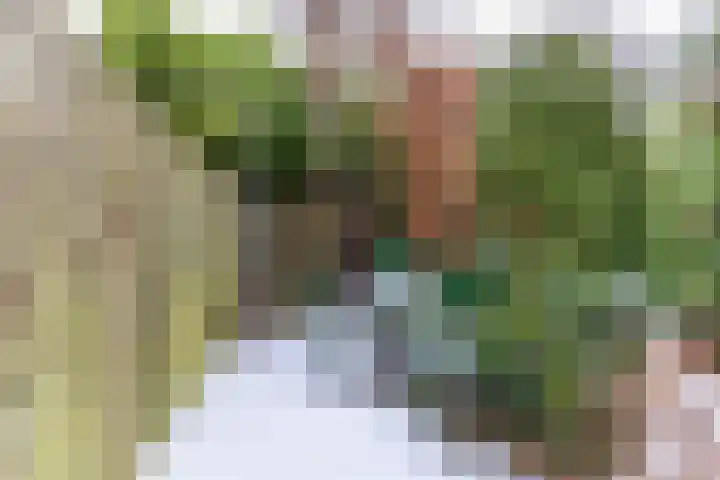 Wingerdhoek 17 Groningen thumbnail 29