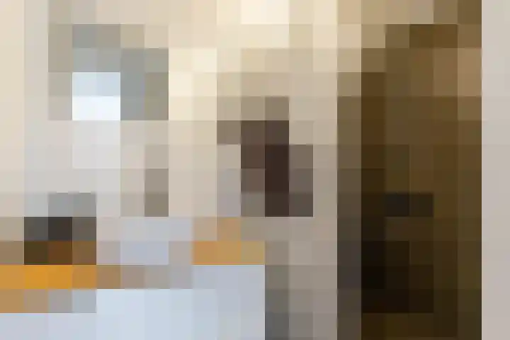 Wingerdhoek 17 Groningen thumbnail 4