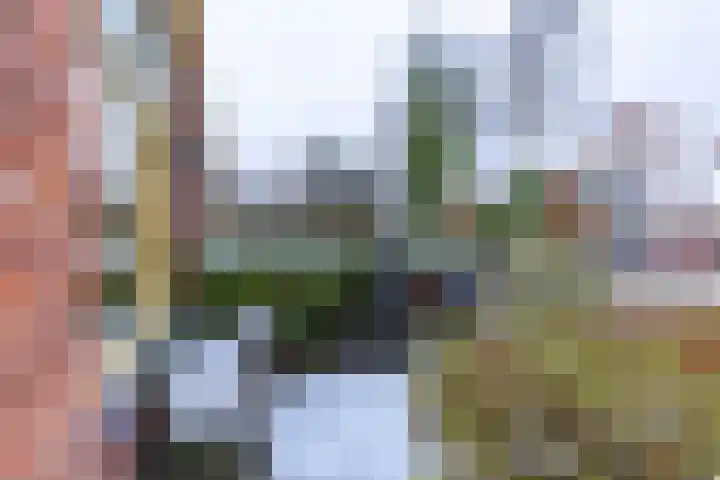 Wingerdhoek 17 Groningen thumbnail 6