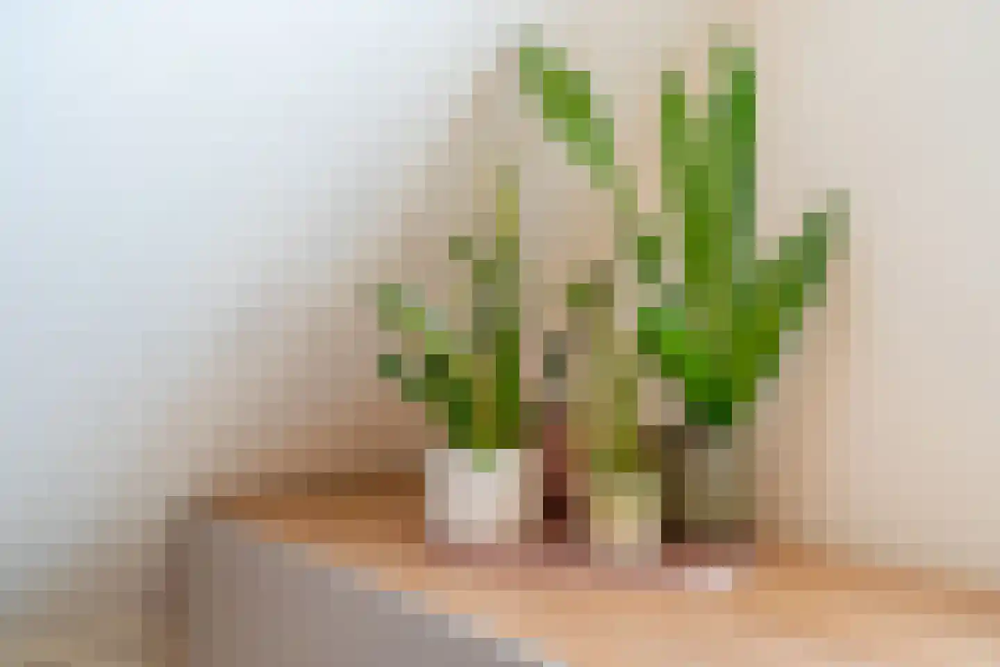 Wingerdhoek 20 Groningen thumbnail 29