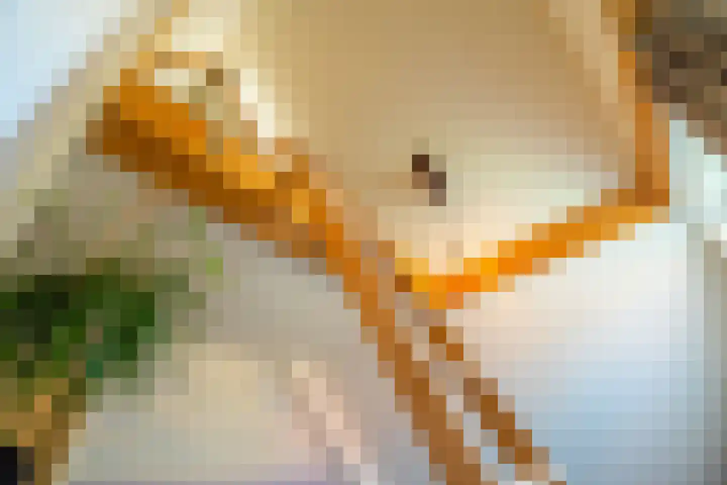 Wingerdhoek 20 Groningen thumbnail 33