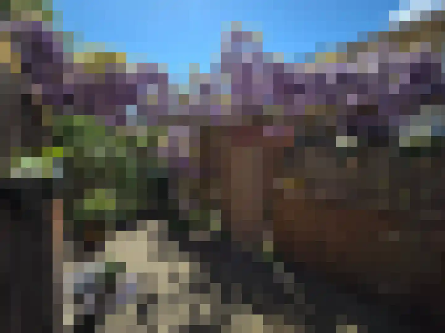 Wingerdhoek 20 Groningen thumbnail 40