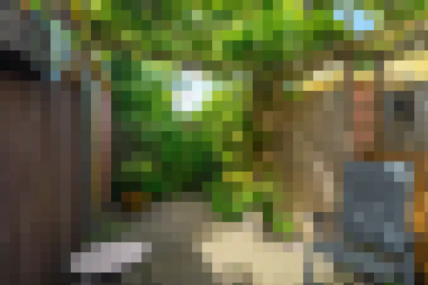 Wingerdhoek 20 Groningen thumbnail 41