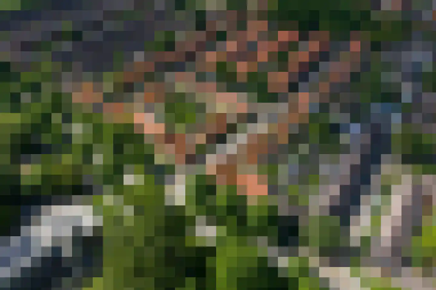 Wingerdhoek 20 Groningen thumbnail 53