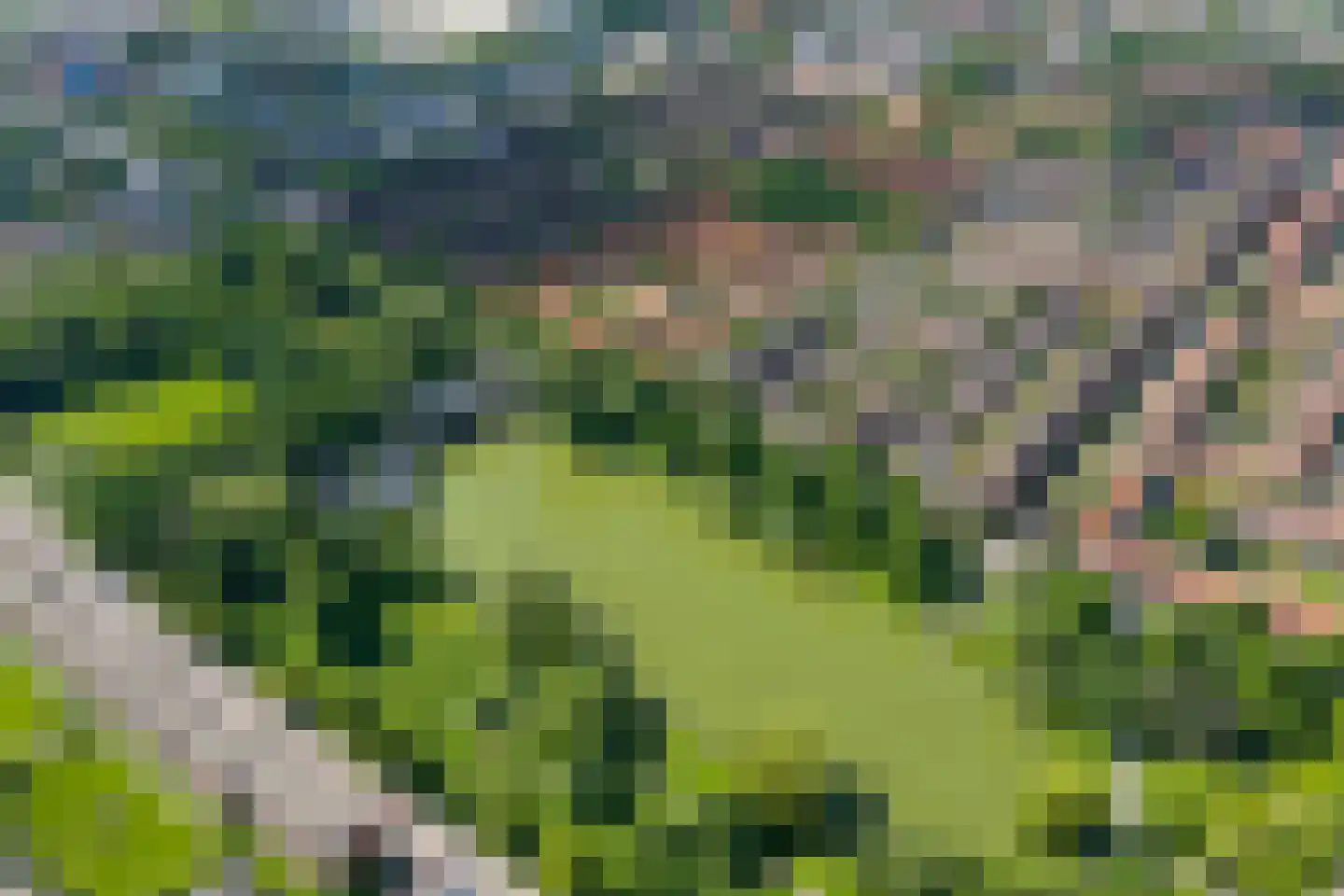 Wingerdhoek 20 Groningen thumbnail 54