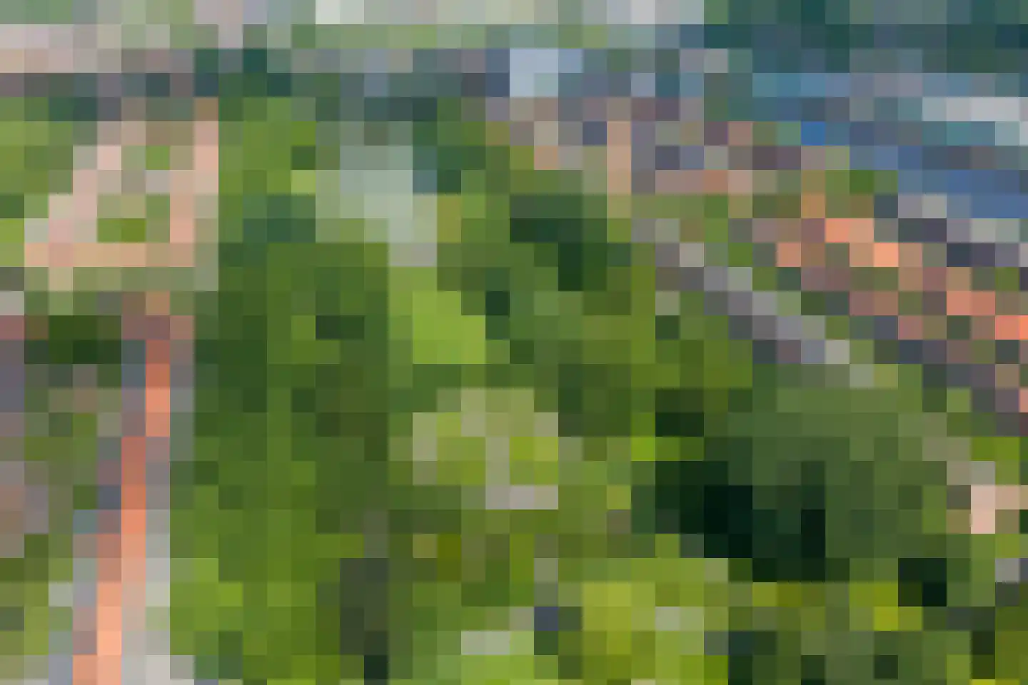 Wingerdhoek 20 Groningen thumbnail 55