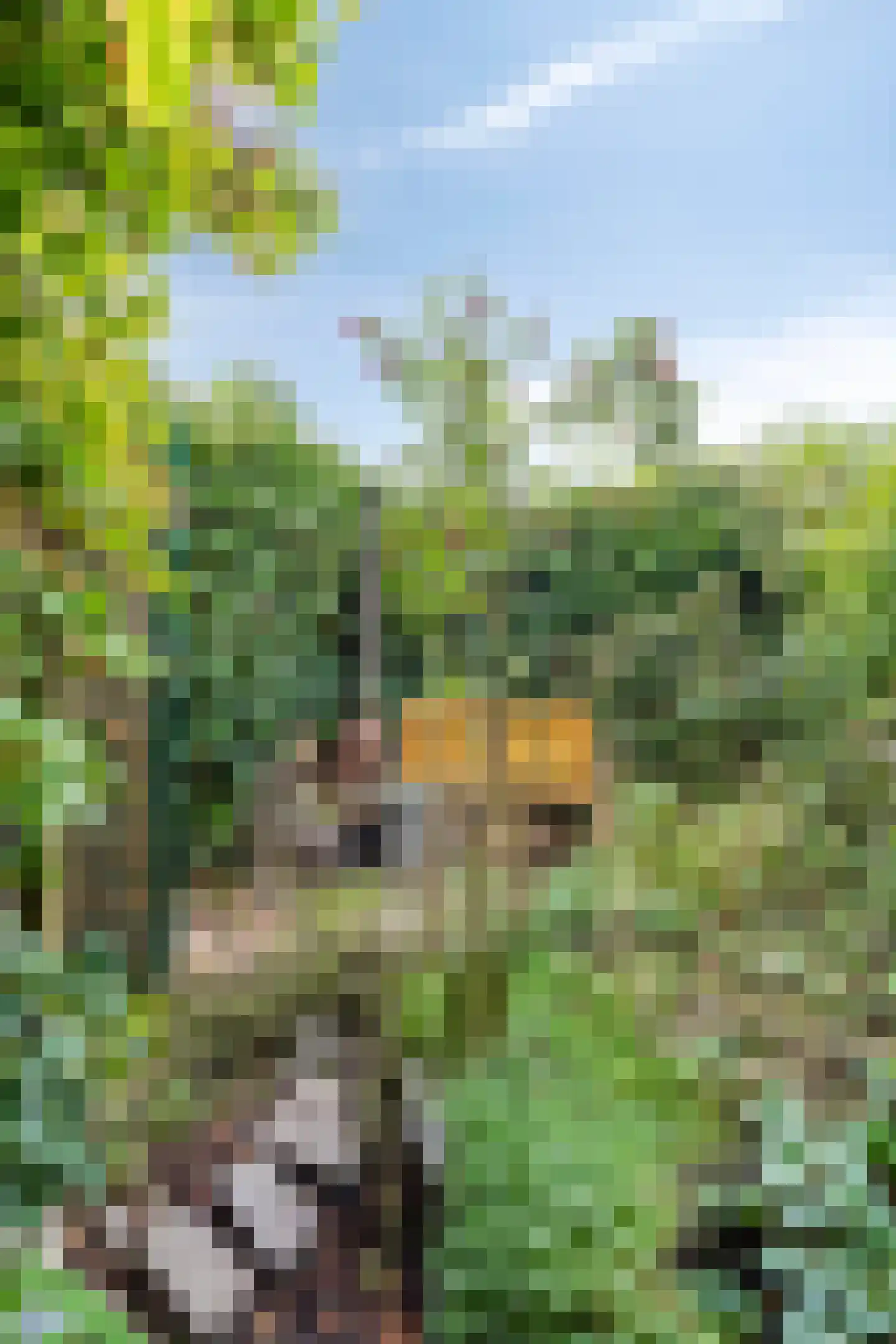 Wingerdhoek 23 Groningen thumbnail 18