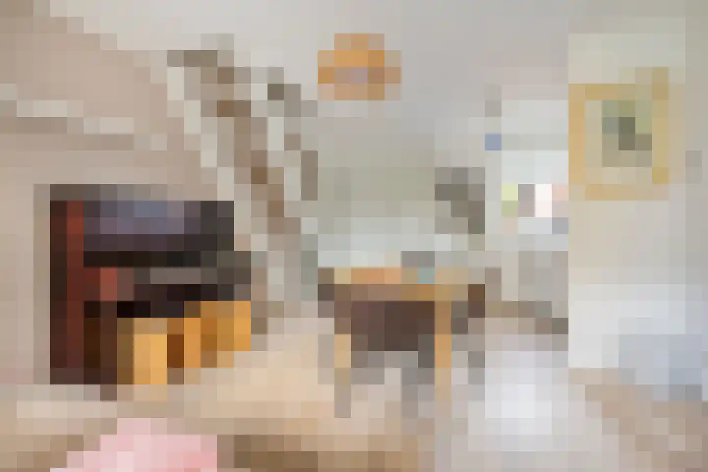 Wingerdhoek 23 Groningen thumbnail 7