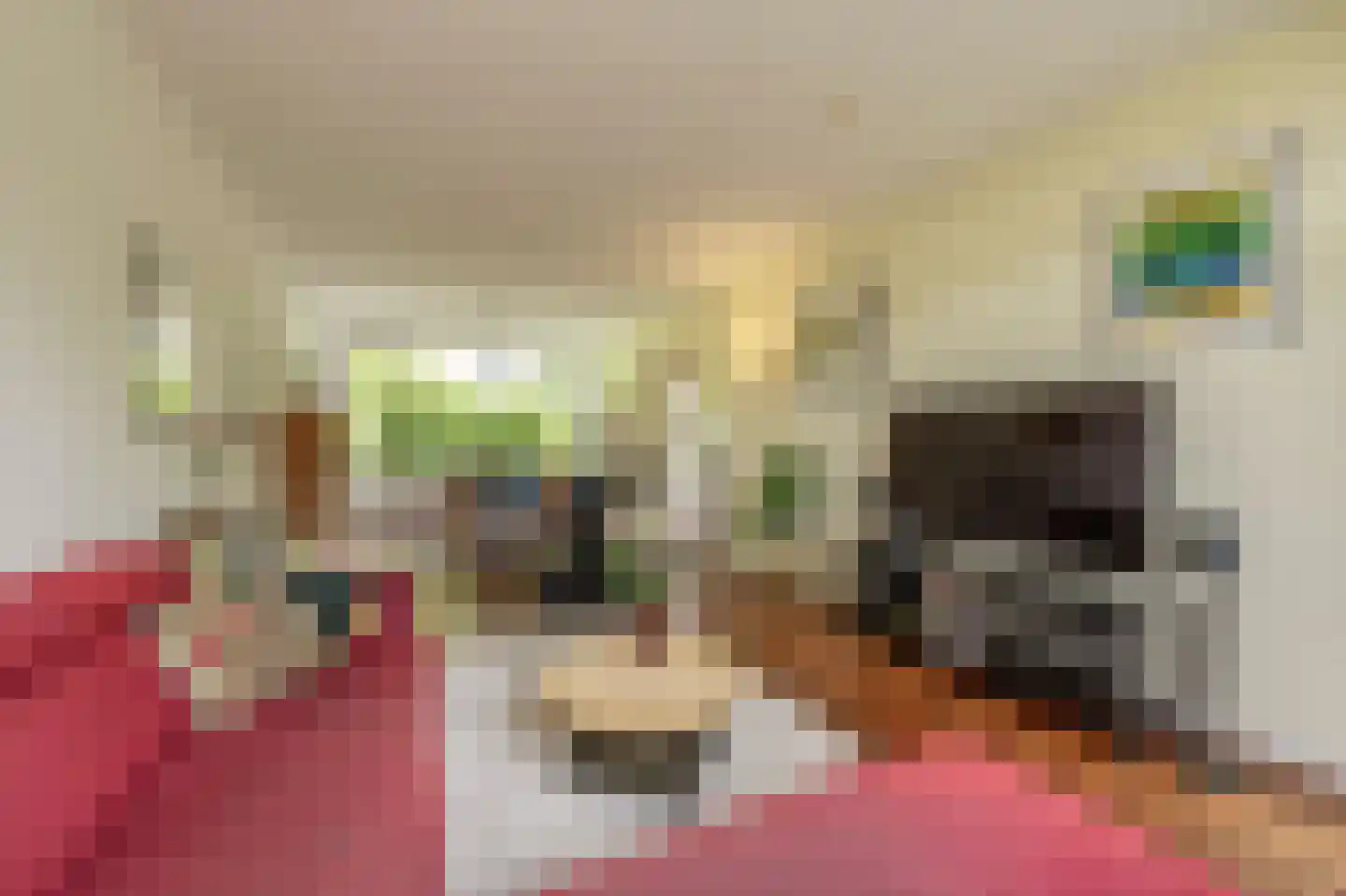 Wingerdlaan 12 Rotterdam thumbnail 10