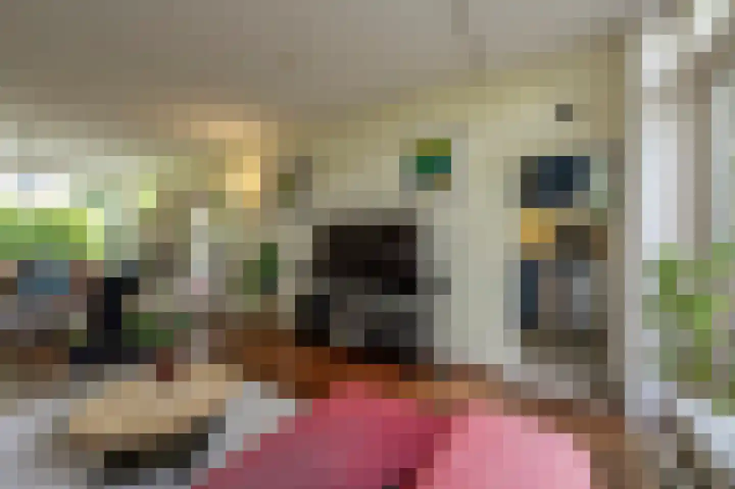 Wingerdlaan 12 Rotterdam thumbnail 11