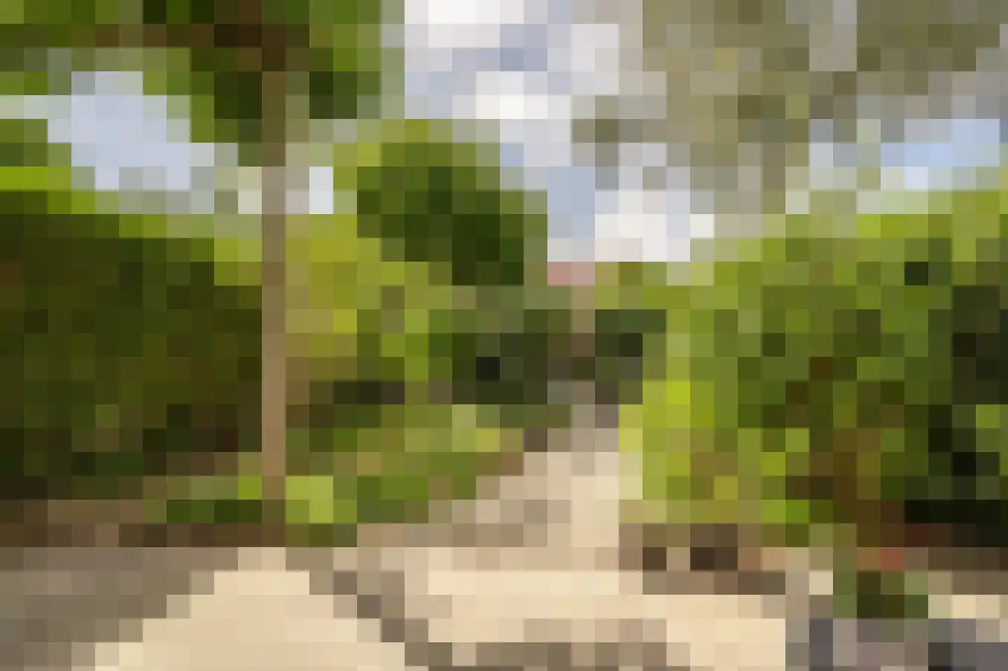 Wingerdlaan 12 Rotterdam thumbnail 12