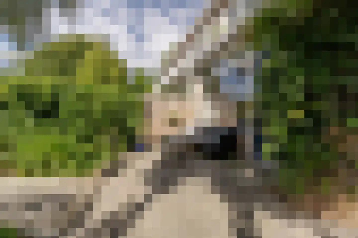 Wingerdlaan 12 Rotterdam thumbnail 13