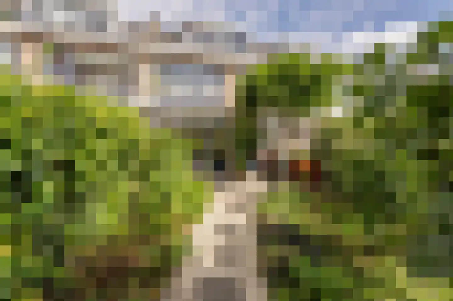 Wingerdlaan 12 Rotterdam thumbnail 14