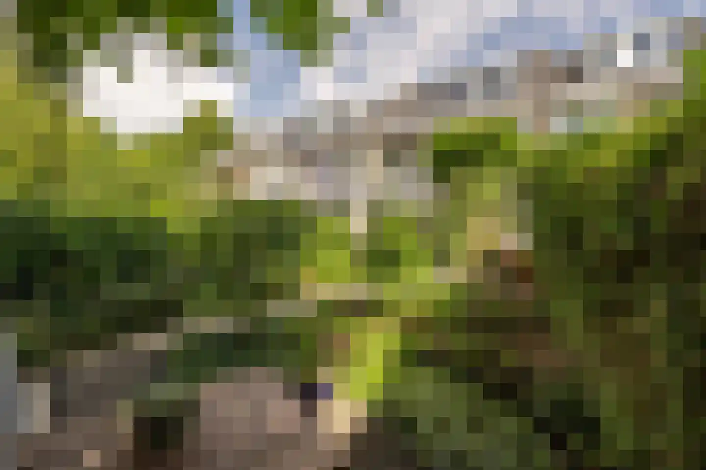 Wingerdlaan 12 Rotterdam thumbnail 15