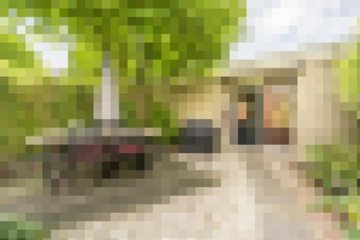 Wingerdlaan 12 Rotterdam thumbnail 16