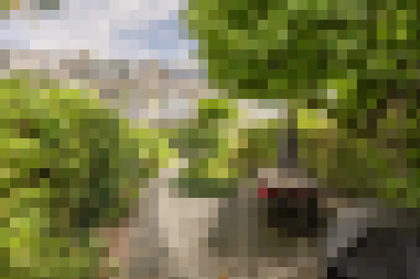 Wingerdlaan 12 Rotterdam thumbnail 18