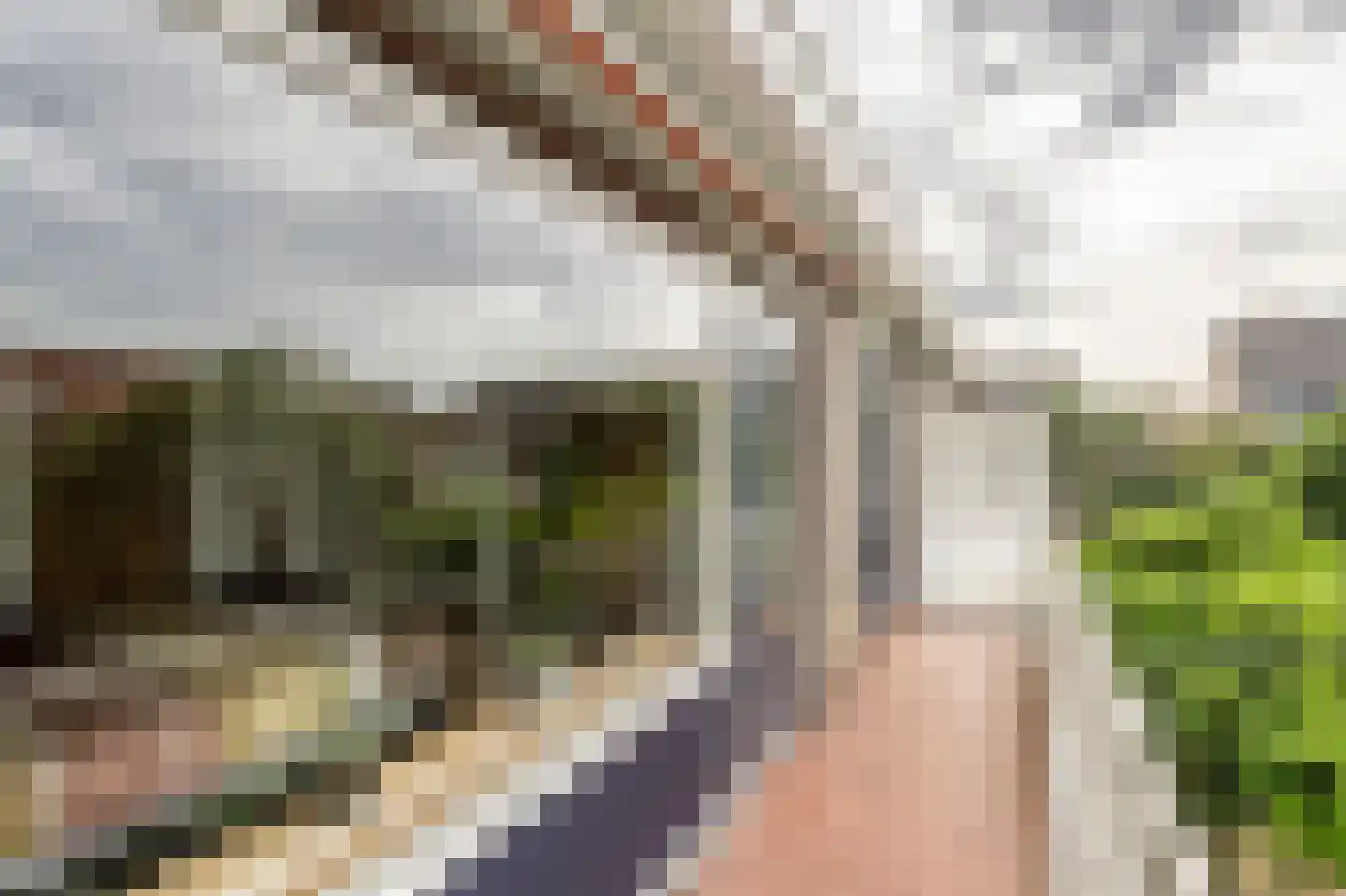 Wingerdlaan 12 Rotterdam thumbnail 25
