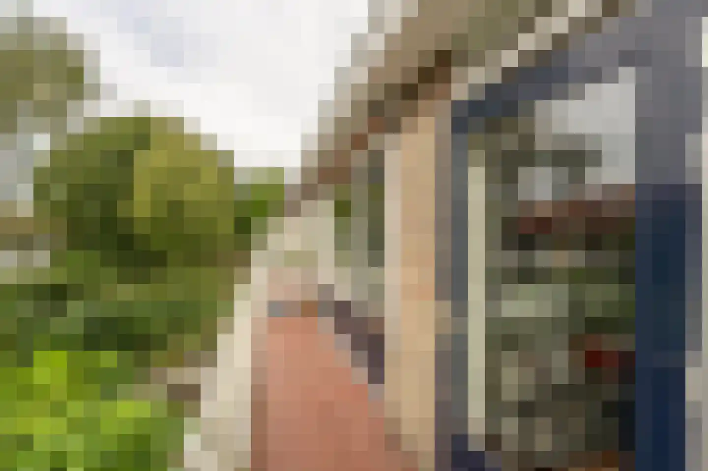 Wingerdlaan 12 Rotterdam thumbnail 27