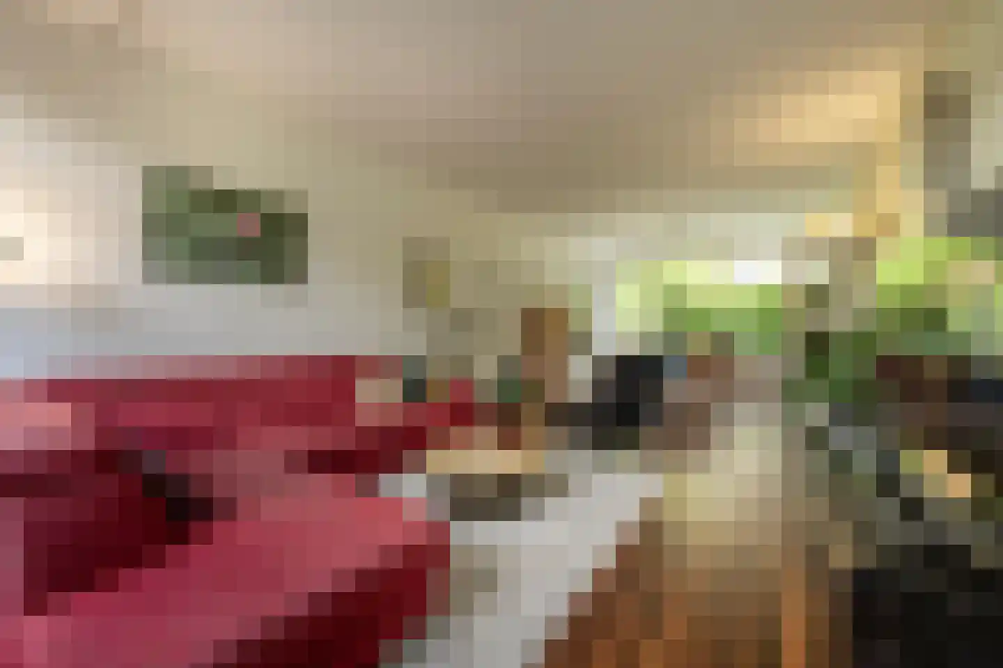 Wingerdlaan 12 Rotterdam thumbnail 5