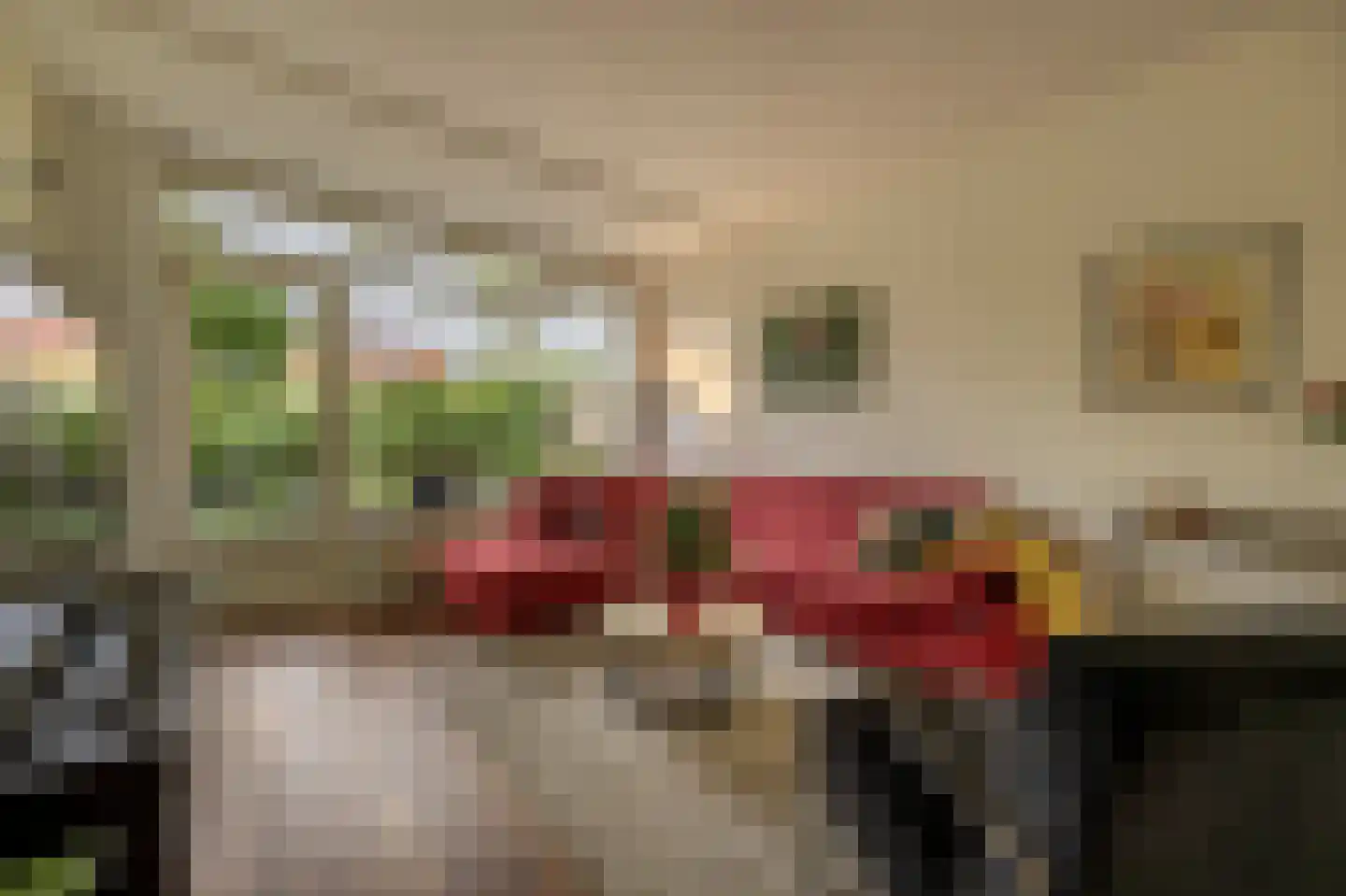 Wingerdlaan 12 Rotterdam thumbnail 9