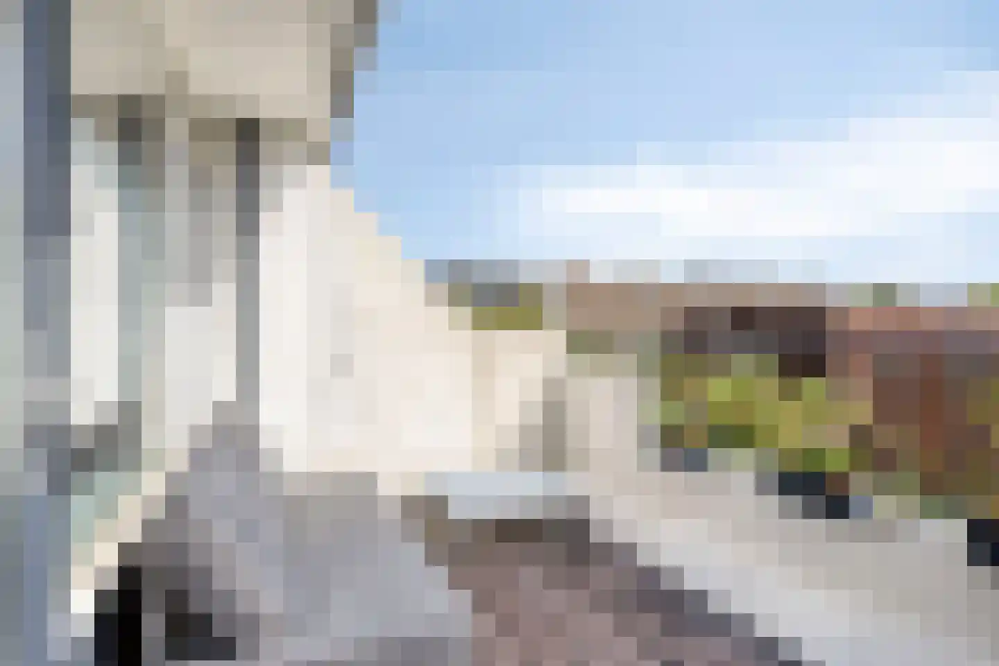 Wingerdpark 100 Zoetermeer thumbnail 15