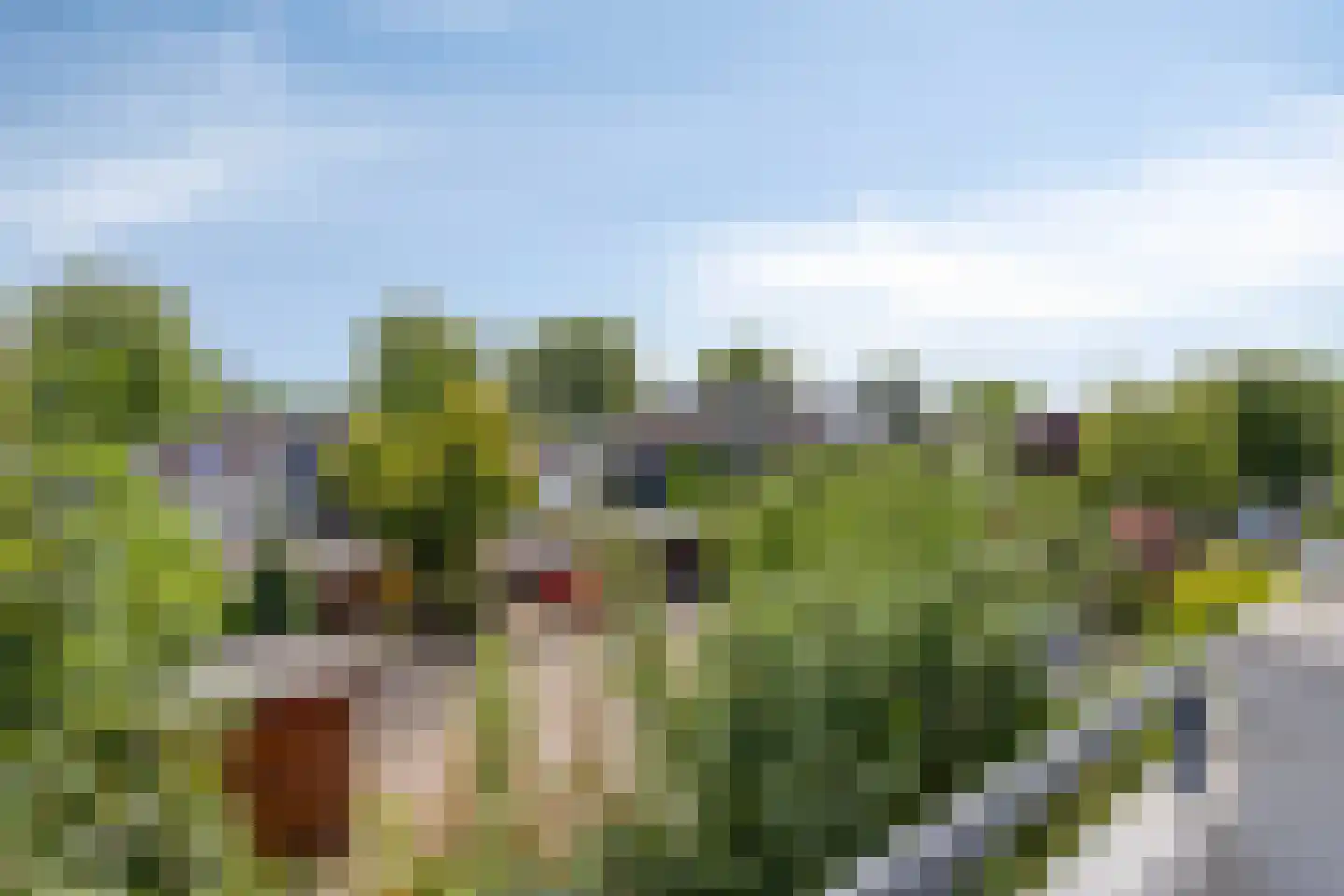 Wingerdpark 100 Zoetermeer thumbnail 17