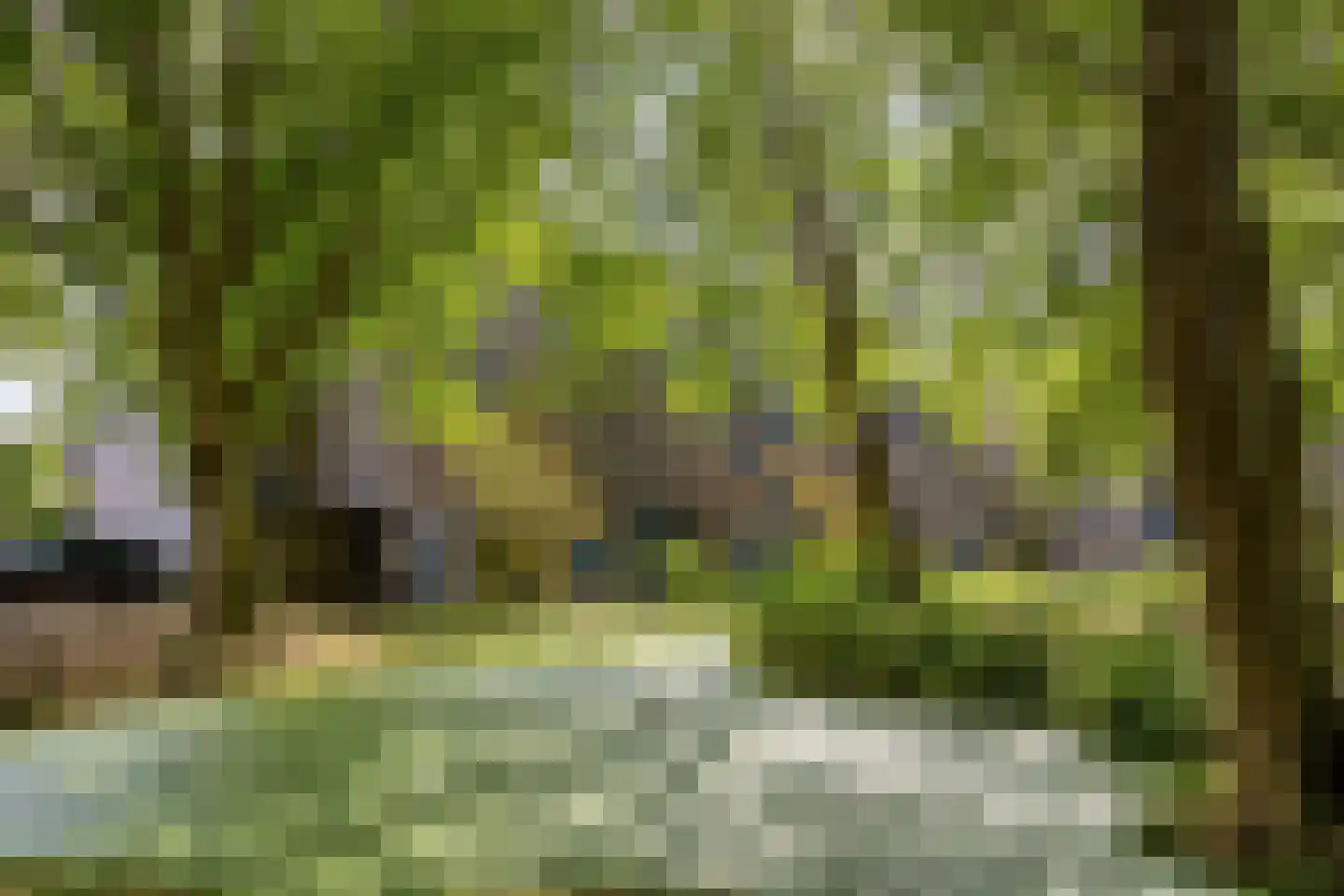 Wingerdpark 100 Zoetermeer thumbnail 18