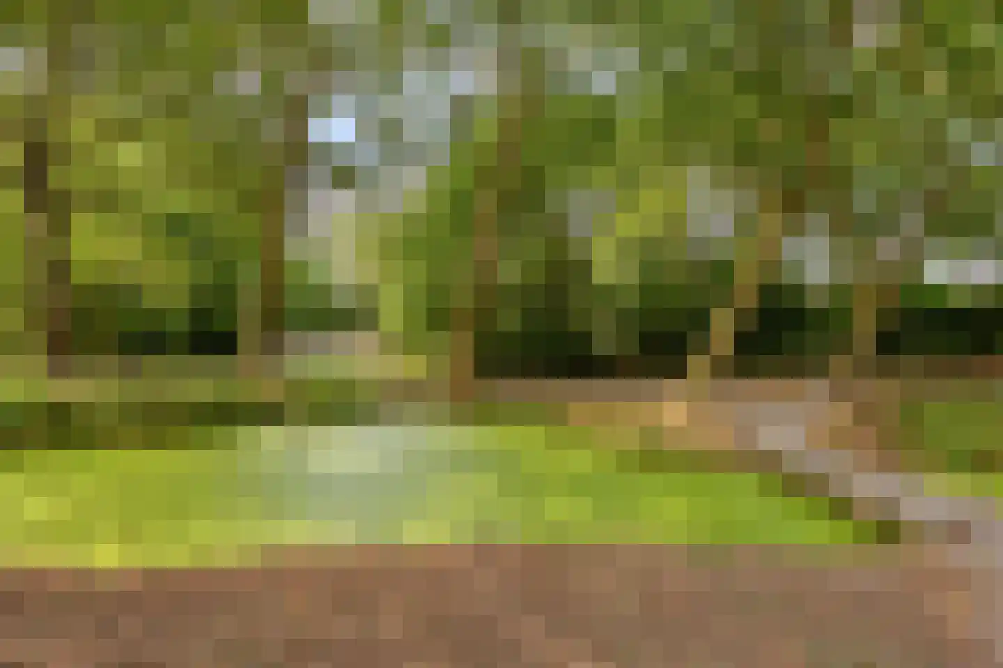 Wingerdpark 100 Zoetermeer thumbnail 19