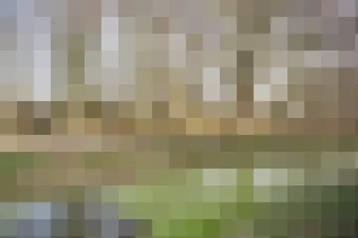 Wingerdpark 28 Zoetermeer thumbnail 31