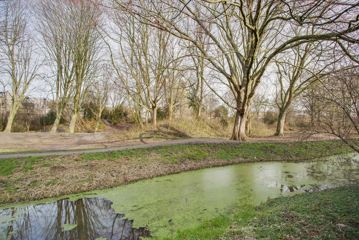Wingerdpark 28 Zoetermeer thumbnail 31