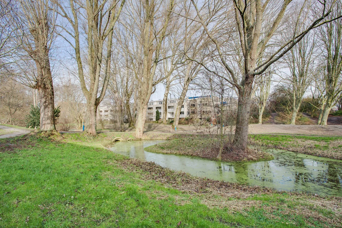 Wingerdpark 28 Zoetermeer thumbnail 32