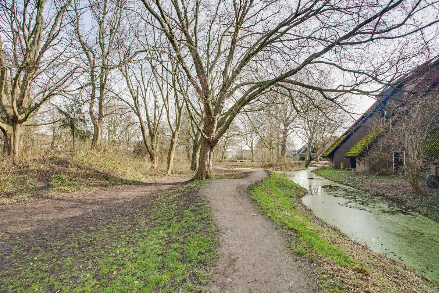 Wingerdpark 28 Zoetermeer thumbnail 36