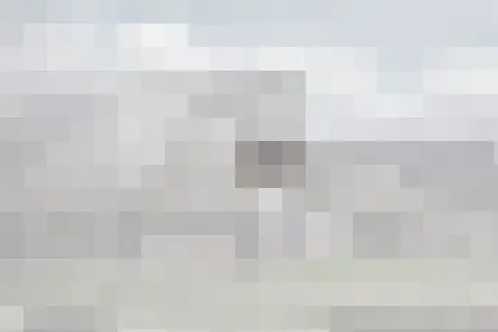 Wingerdpark 28 Zoetermeer thumbnail 40