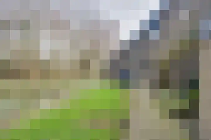 Wingerdpark 28 Zoetermeer thumbnail 5