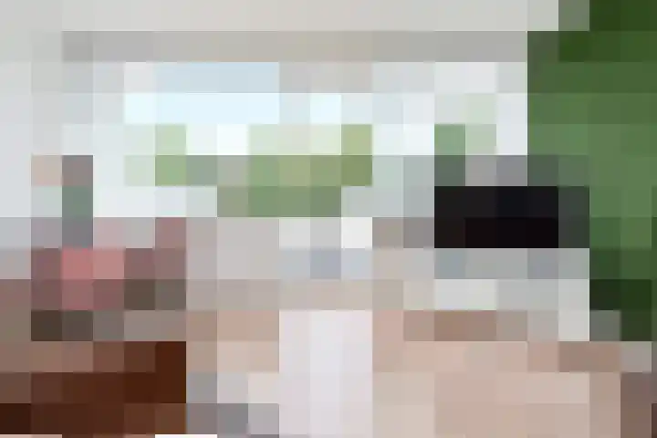 Wingerdpark 52 Zoetermeer