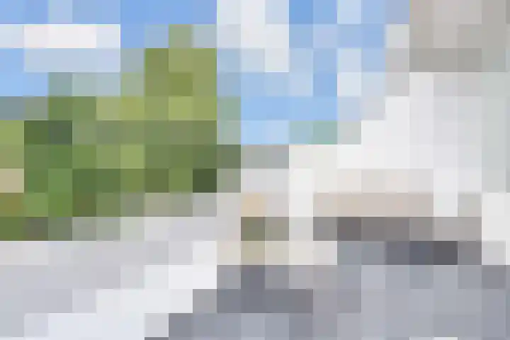 Wingerdpark 52 Zoetermeer thumbnail 24