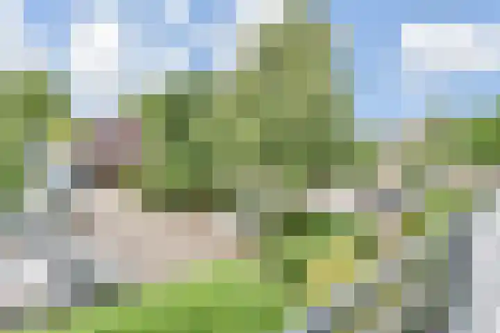 Wingerdpark 52 Zoetermeer thumbnail 26